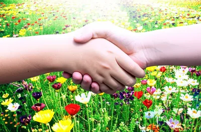 Illustration agreement - Image 1