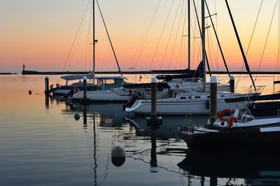 Illustration stays - Image 1