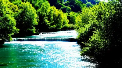 Illustration flows - Image 1