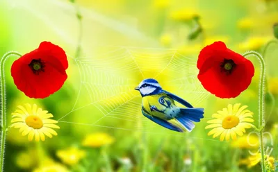 Illustration toils - Image 1