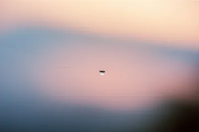 Illustration finer - Image 1