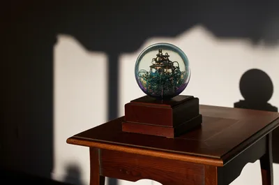 Illustration curio - Image 1