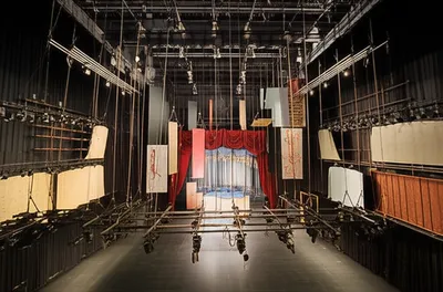 Illustration flies - Image 1