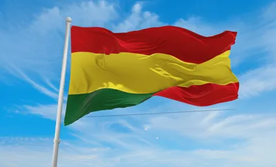 Illustration flies - Image 1