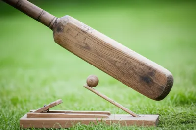 Illustration pommel - Image 1