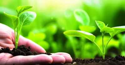 Illustration nourish - Image 1