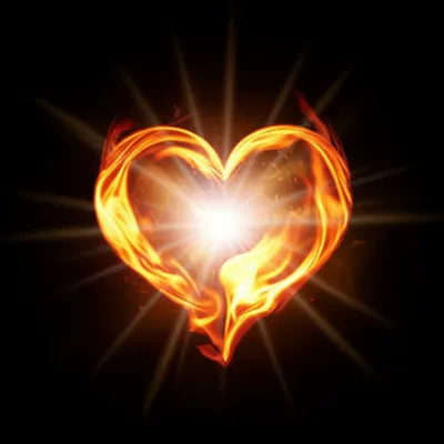 Illustration ardently