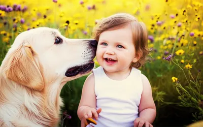 Illustration nuzzles