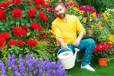 Illustration pansies - Image 1