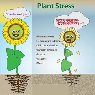 Illustration stress - Image 2