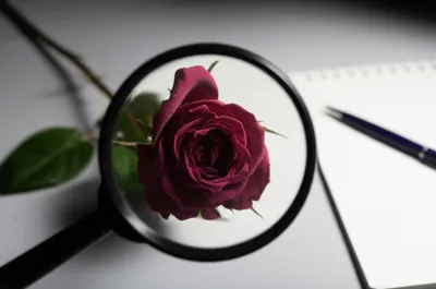 Illustration crits - Image 1