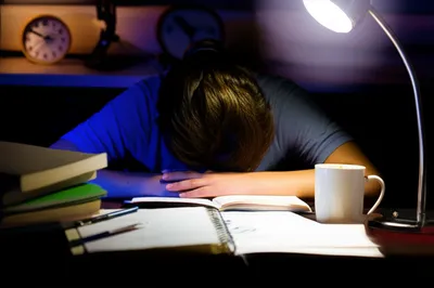 Illustration finals - Image 1