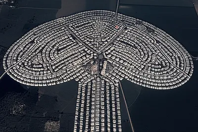 Illustration mushroomed - Image 1