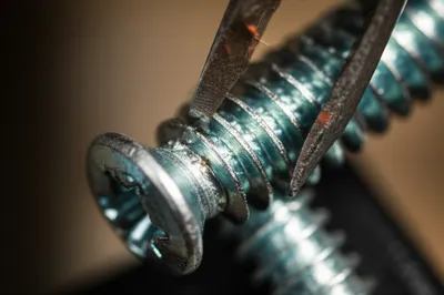 Illustration chases - Image 1