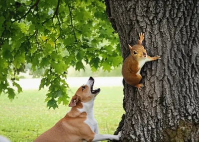 Illustration treed - Image 1