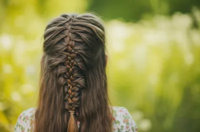 Illustration plat - Image 1