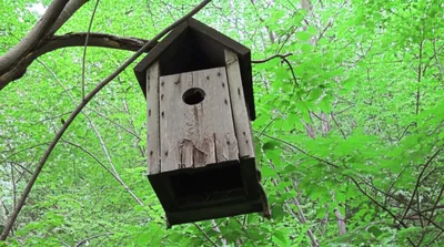 Illustration deserted