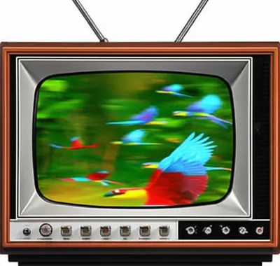 Illustration aired - Image 1