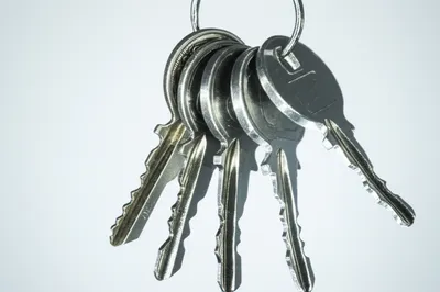 Illustration jangle - Image 1