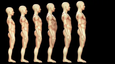 Illustration consumption - Image 1