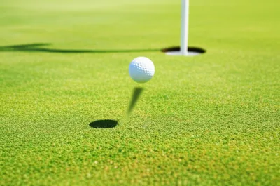 Illustration drives - Image 1