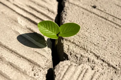 Illustration notwithstanding - Image 1