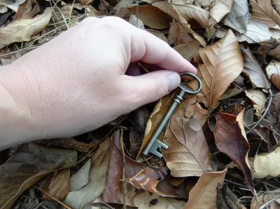 Illustration find - Image 1