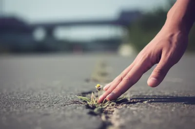 Illustration condoning