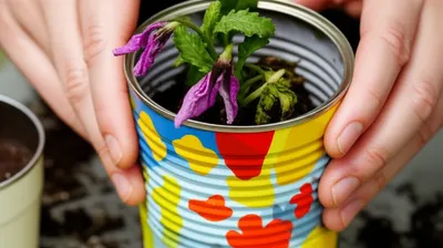 Illustration reuse - Image 1