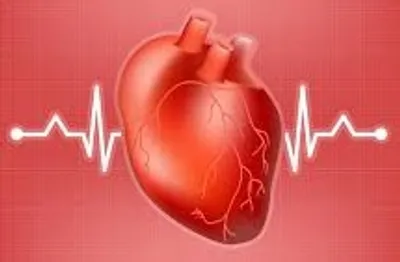 Illustration pulsate - Image 2