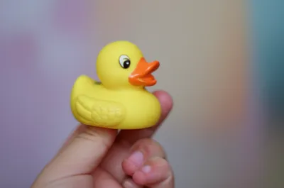 Illustration squeaking - Image 1