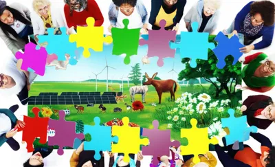 Illustration contributions