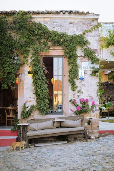 Illustration clings - Image 2