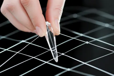 Illustration sharp - Image 1