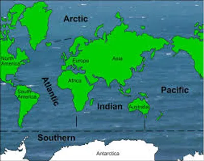 Illustration oceanic - Image 2