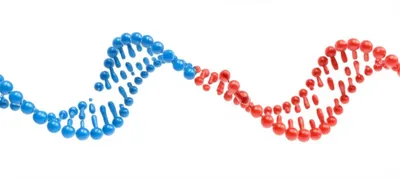 Hình ảnh minh họa recombining - Ảnh 1