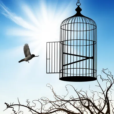 Illustration emancipated - Image 1