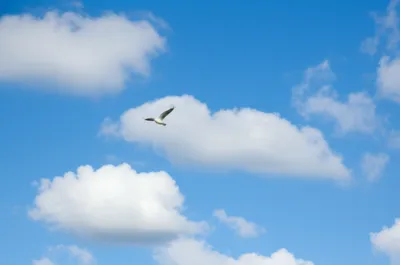 Illustration easier - Image 1