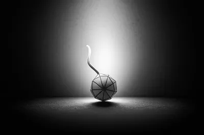 Illustration germ - Image 1