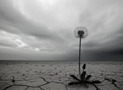 Illustration shitty - Image 1