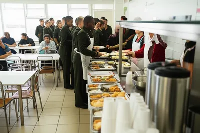 Illustration canteens - Image 1