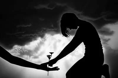 Illustration reprieved - Image 1