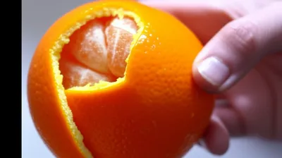 Illustration peels - Image 1