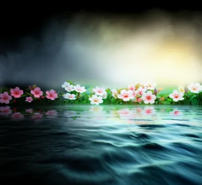 Illustration temporal - Image 1