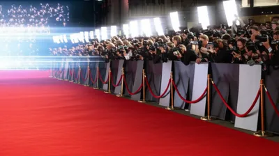 Illustration celebrities