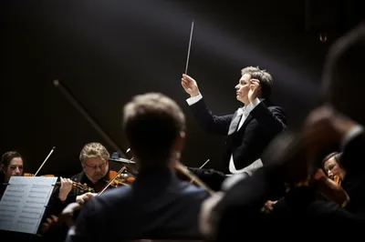 Illustration pitched - Image 1