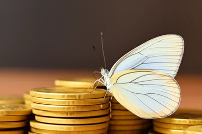 Illustration bagatelles