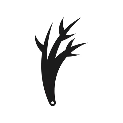 Illustration combs - Image 1