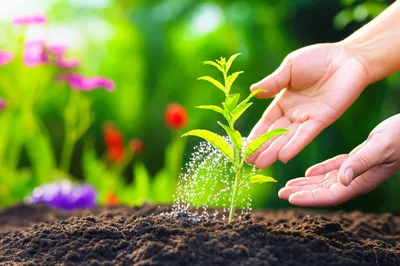 Illustration makes - Image 1