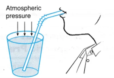 Illustration suction - Image 2